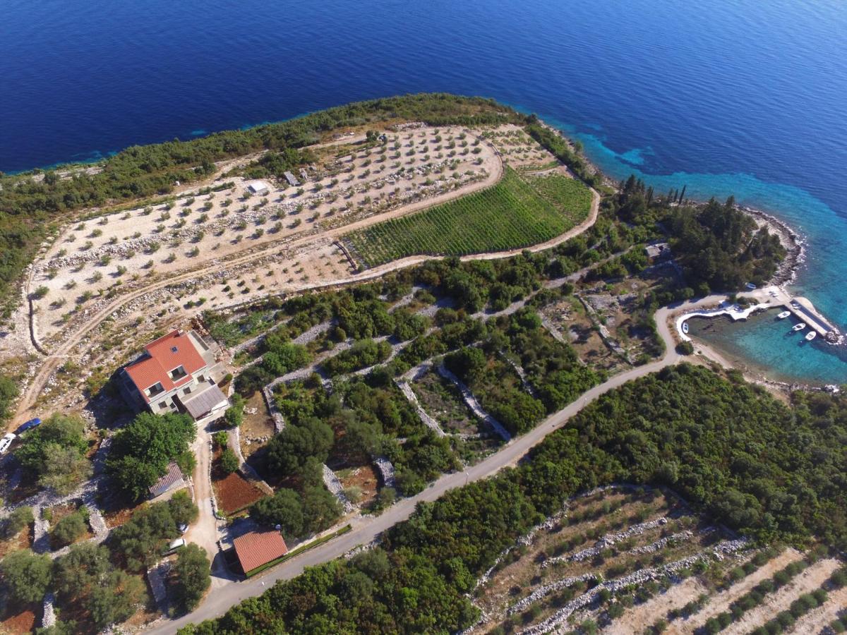 Deluxe Apartman “ Koromacna” Kneza Exterior photo